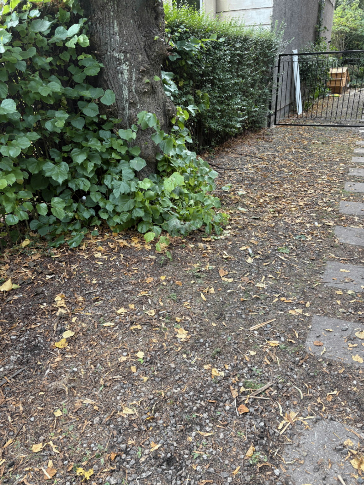 After professional rubbish removal - Garden Debris Clearance completed in Glasgow